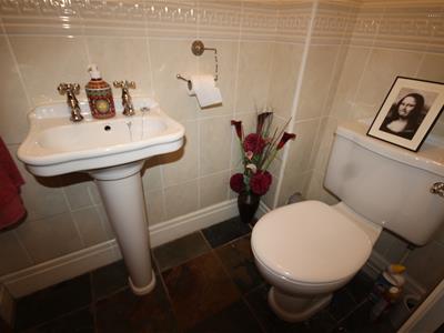 Picture 15